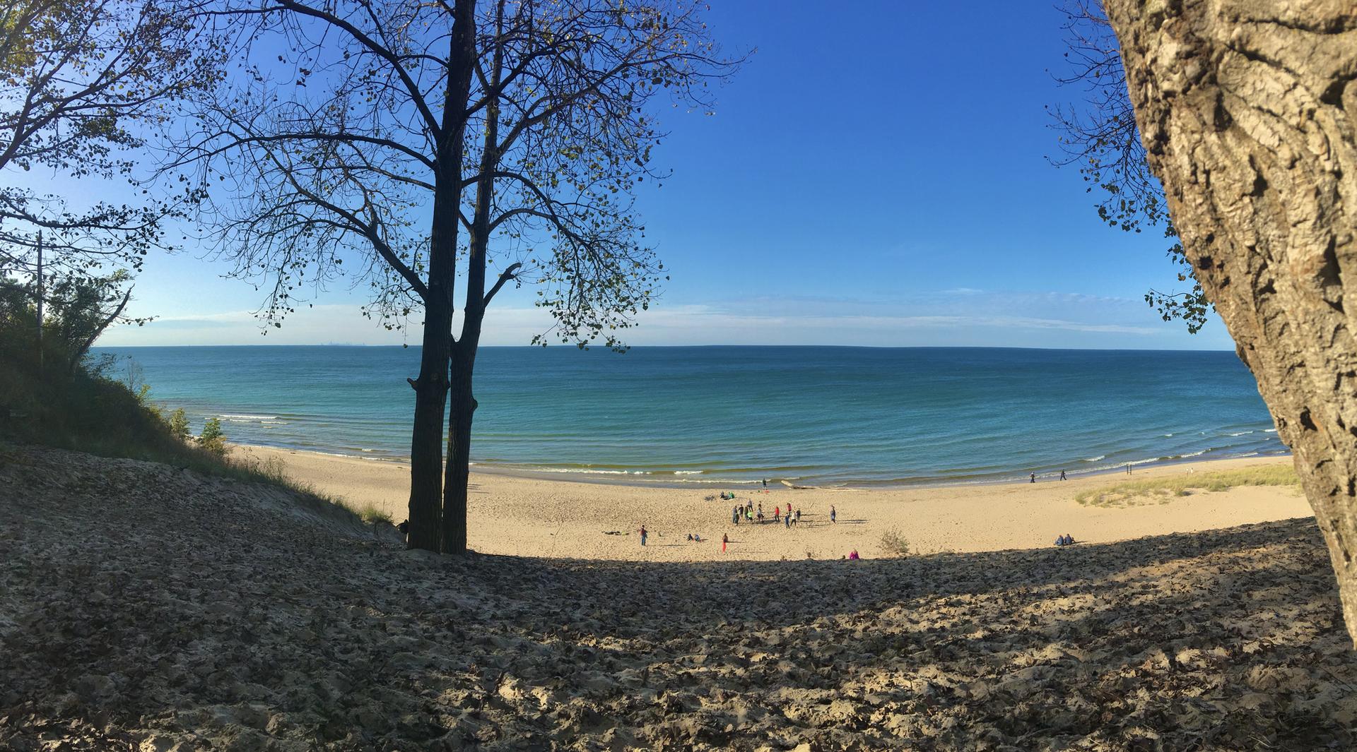 Sandy beach by blue water with people and trees on a bright sunny day.