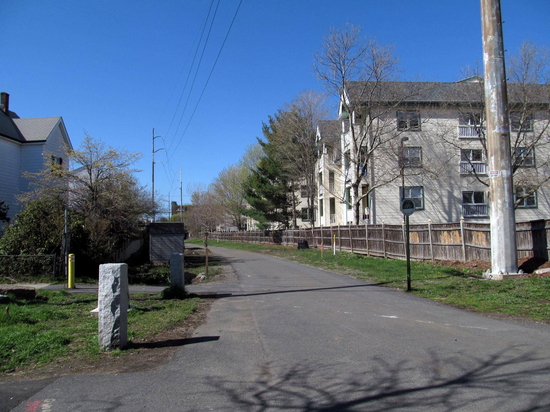 Paved path next to buildings and bare trees on a sunny day.