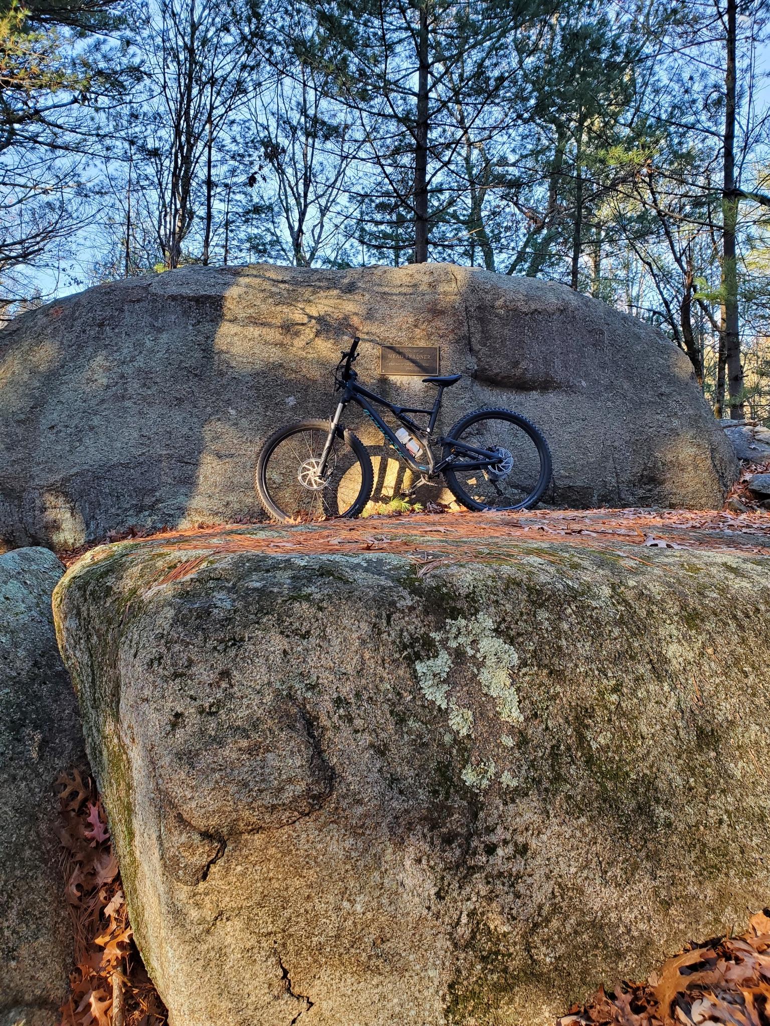 A mountain bike rests on large sunlit boulders in a wooded area.