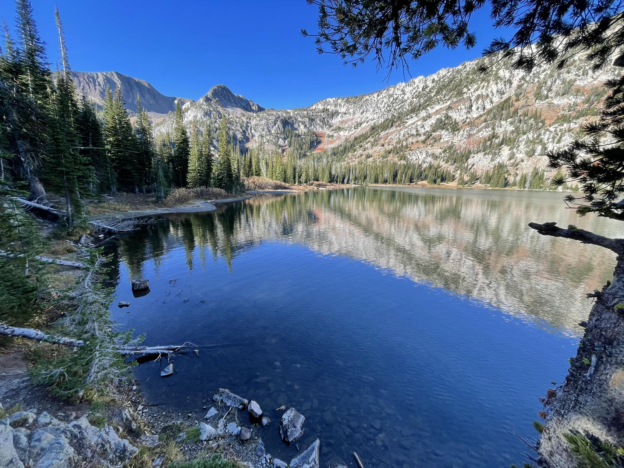 Pristine mountain lake reflecting rugged, forested peaks under a clear blue sky.