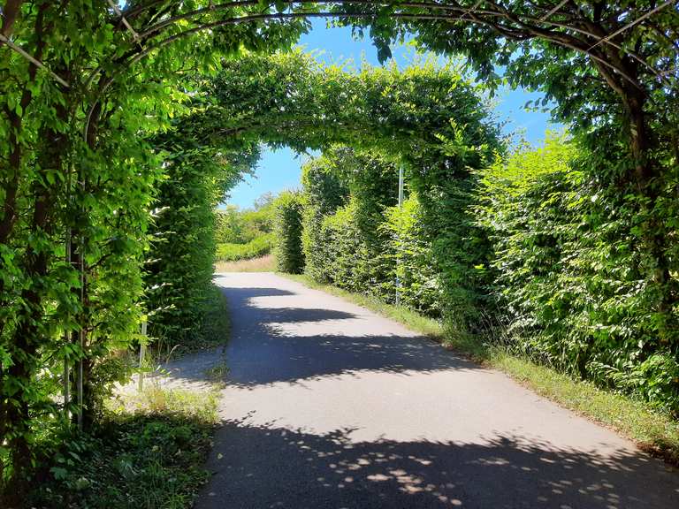 Leibfriedscher Garten Wanderungen und Rundwege komoot