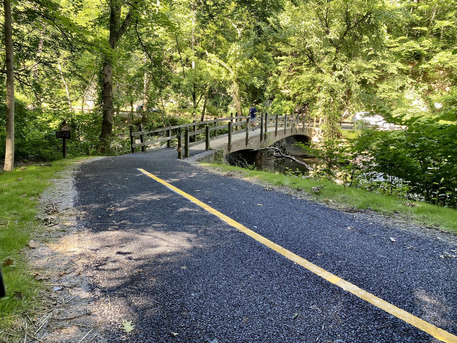 Paved path with yellow line leading to a wooden bridge in a green forest.