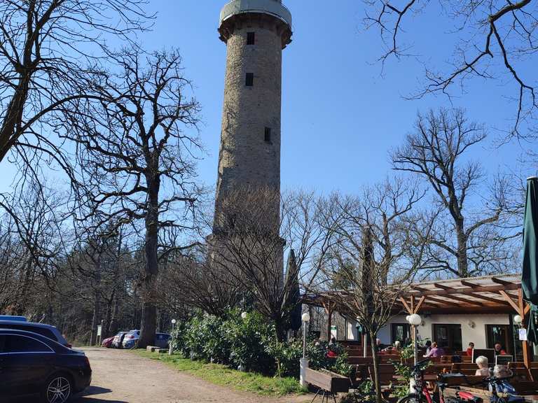 Langenselbold: Buchbergturm: Wanderungen und Rundwege | komoot