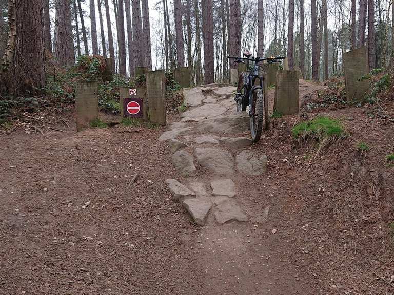 Sherwood Pines Forest Park Red and Blue loop mountain bike ride Komoot