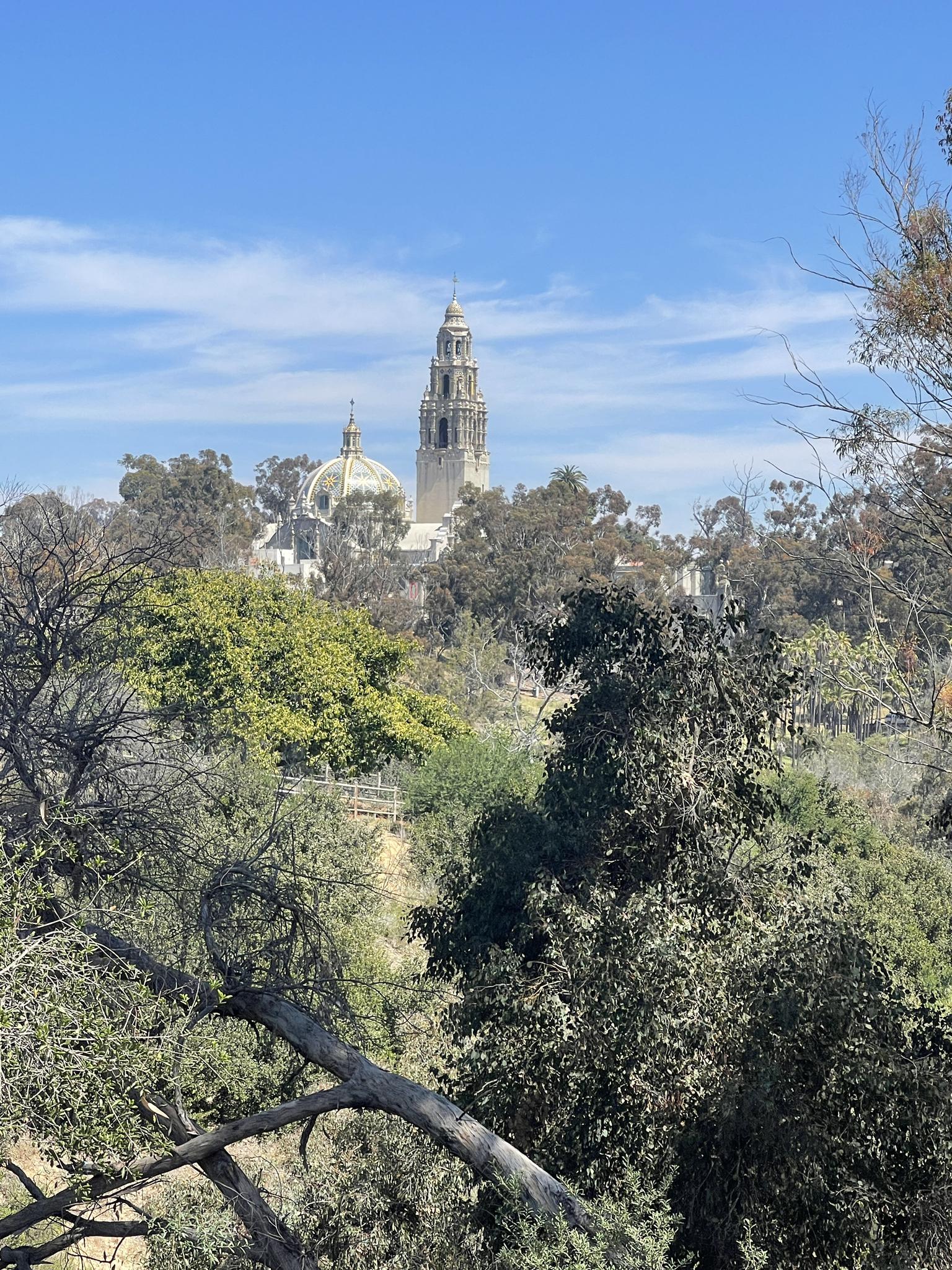 Ornate building with a tall tower and dome peeking through green trees.