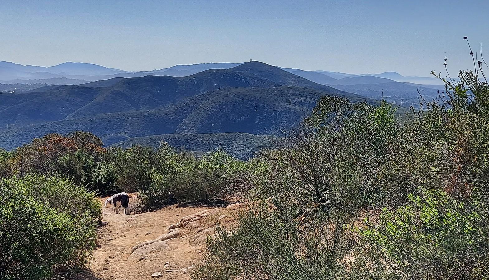 Dirt path leading to distant mountains under a clear sky, person visible.