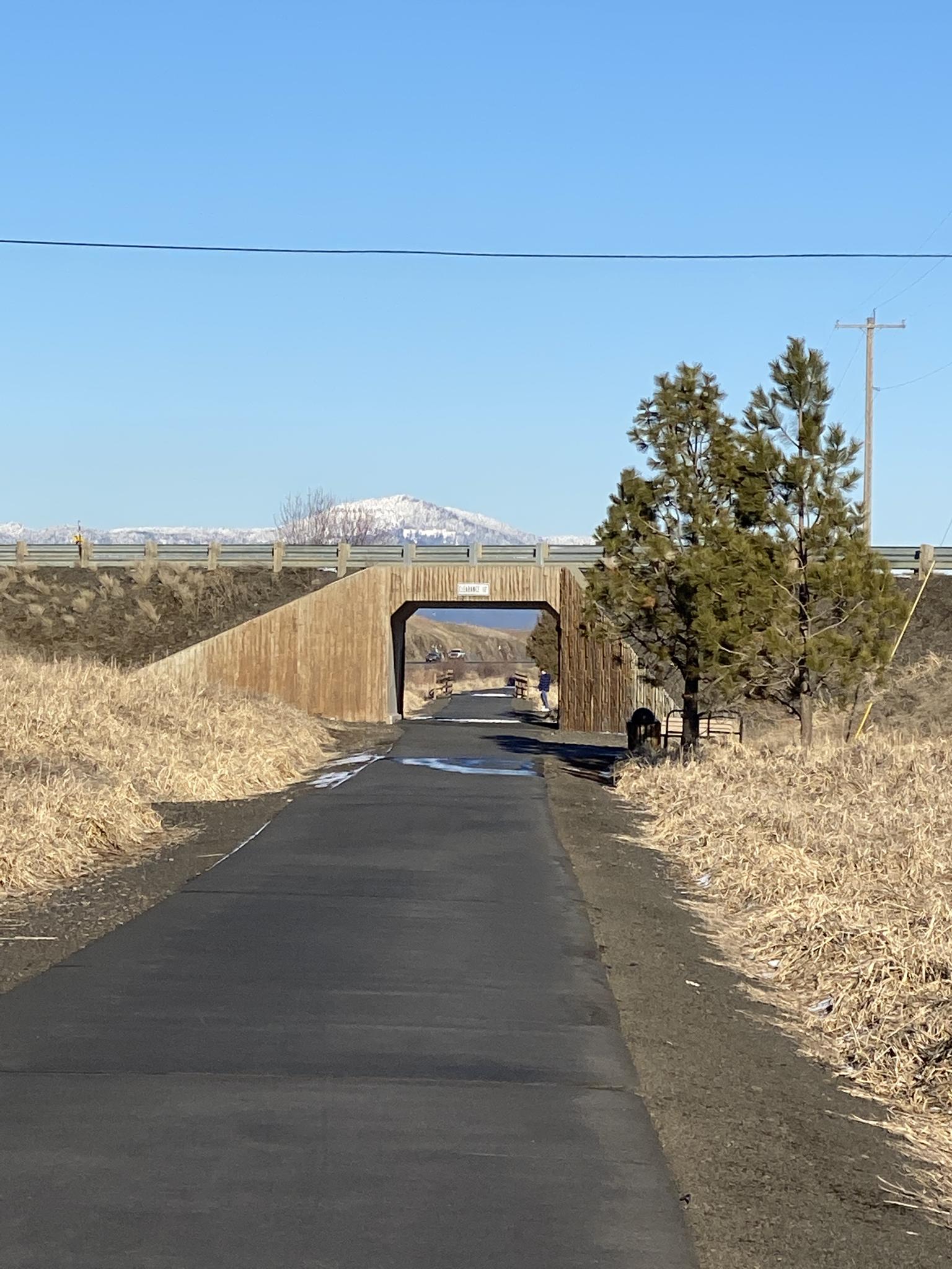 Paved path leading to a wooden underpass with a snowy mountain beyond.