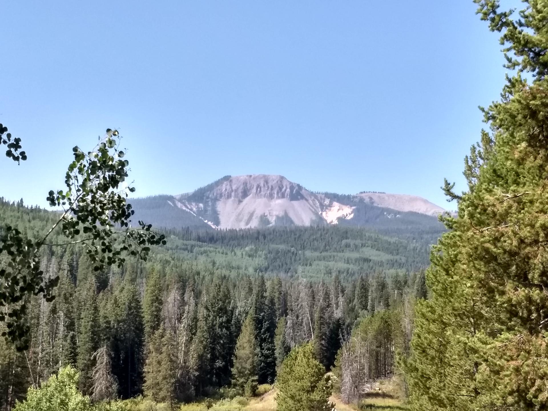 Panoramic view of a rocky mountain peak above a vast green forest.
