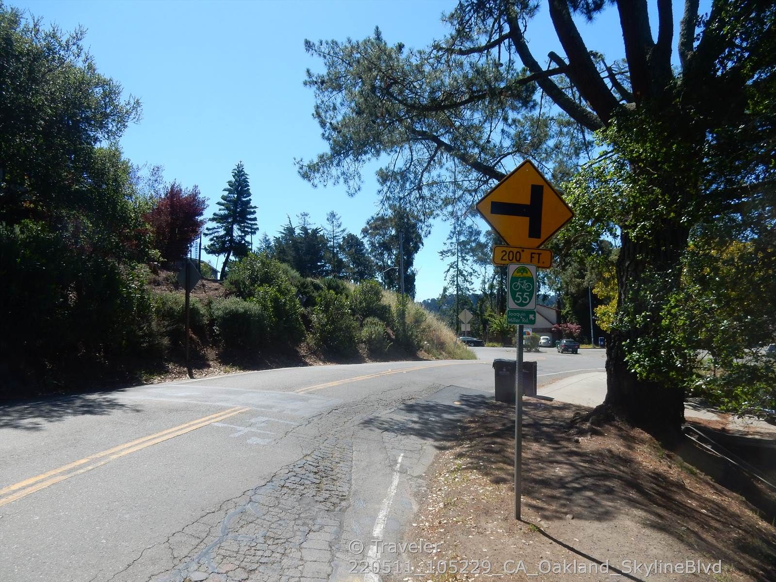 A T-intersection sign on a sunny road surrounded by green trees. - East Bay Skyline and Berkeley Hills Loop