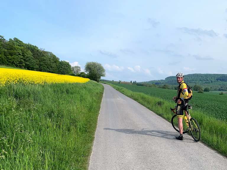 Radweg Springe - Altenhagen I (parallel zur B217): Rennradfahren und ...