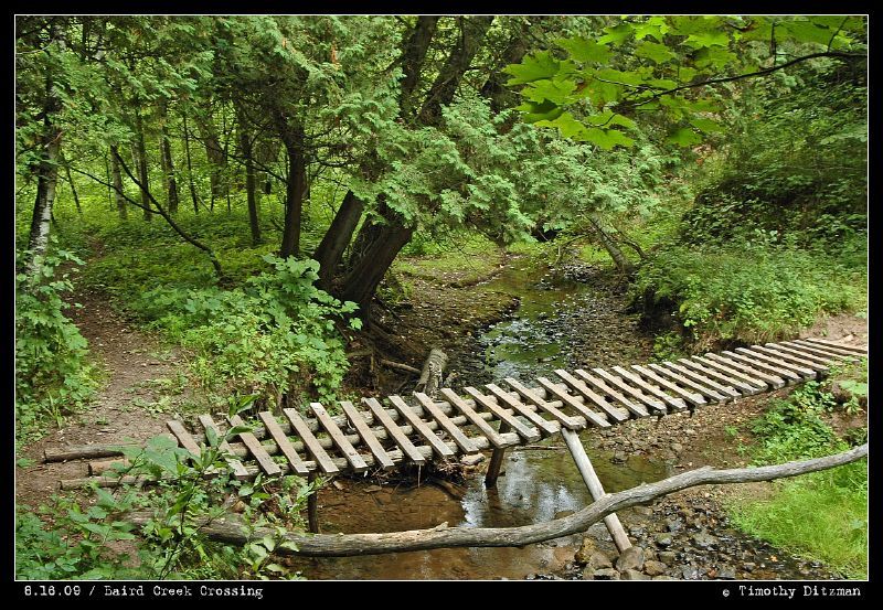 A wooden footbridge over a stream in a dense, green forest. - Baird Creek Mountain Bike Trail