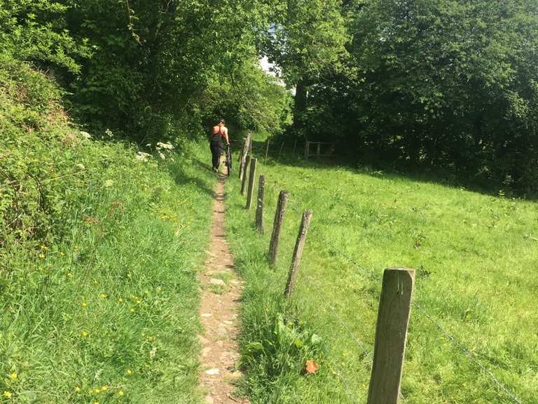 GR 56 Malmedy to Ligneuville — longdistance hiking in East Belgium