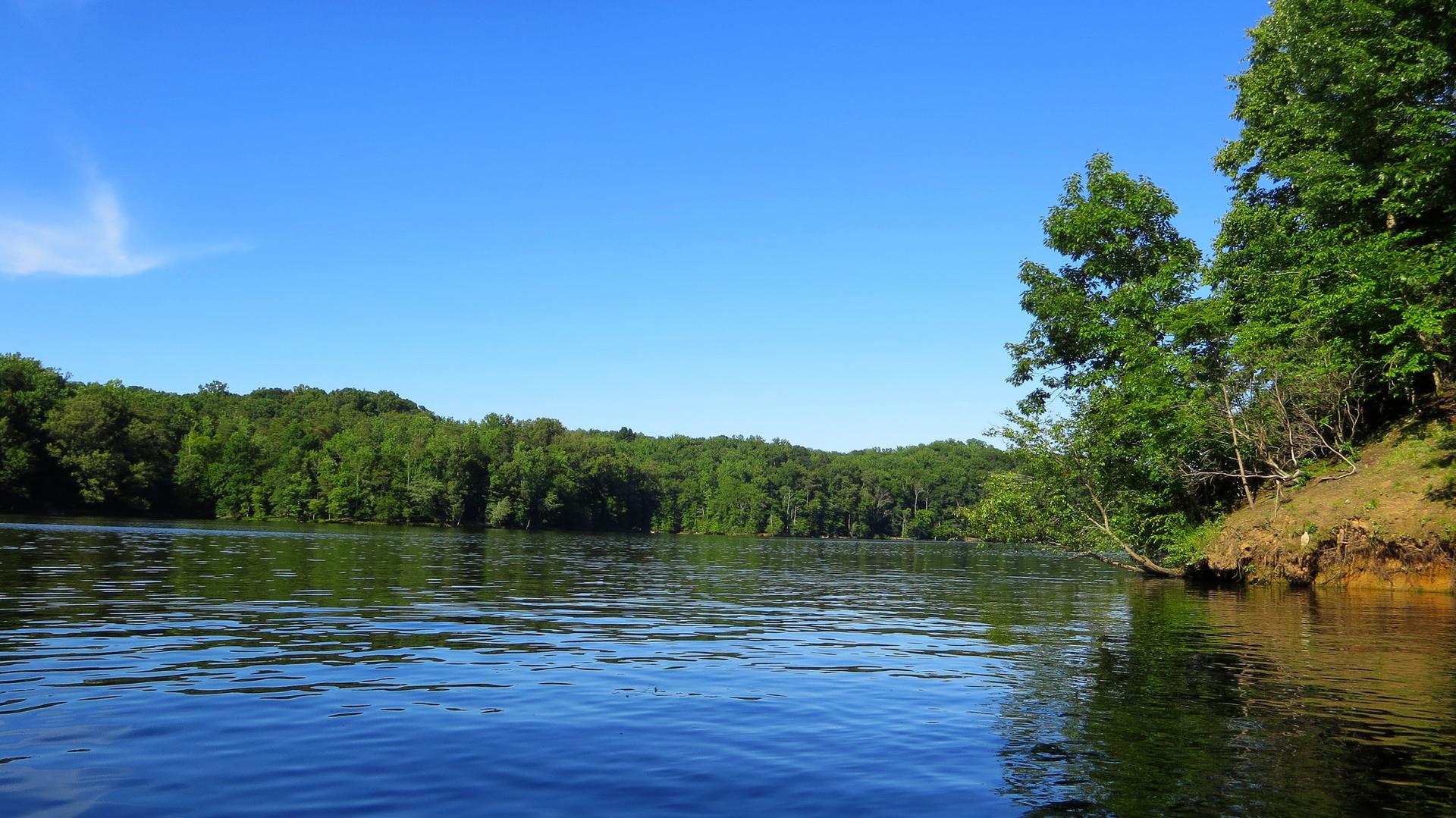 A wide, calm lake surrounded by lush green forest under a clear blue sky.