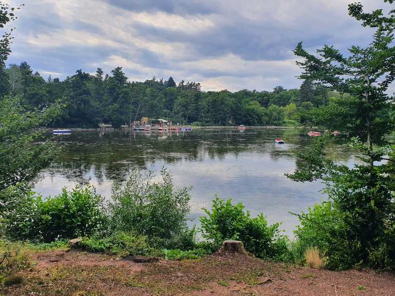 Steinbrücker Teich Wanderungen und Rundwege komoot