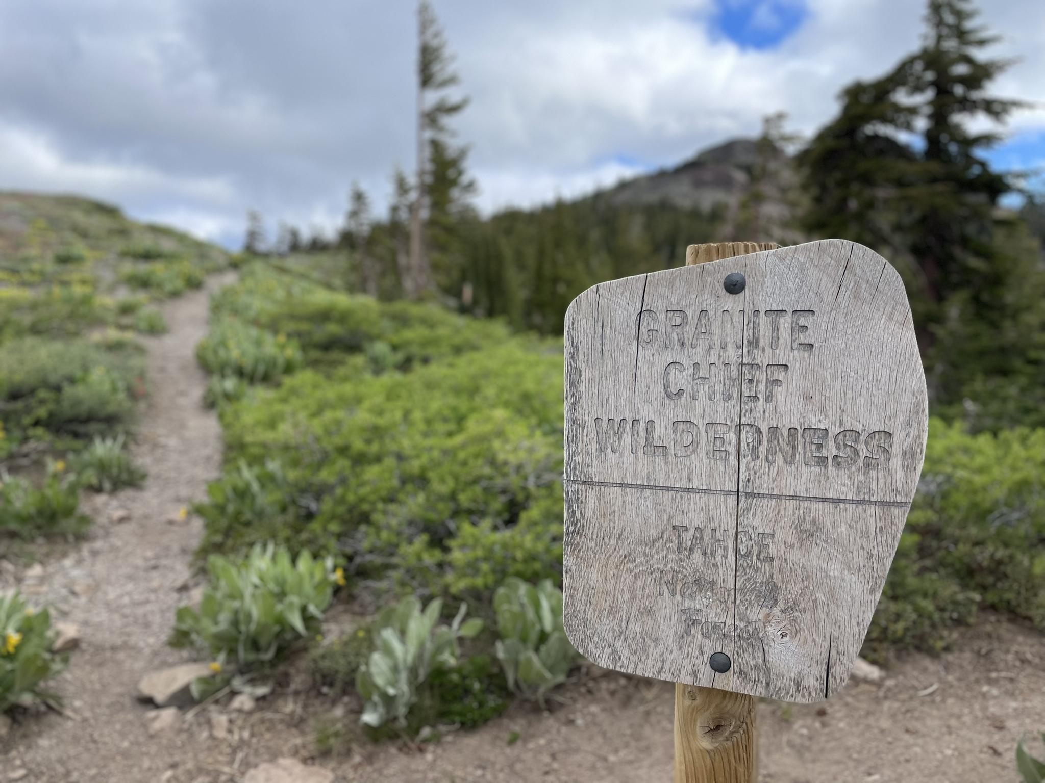 A wooden sign stands beside a narrow dirt path in a green landscape.