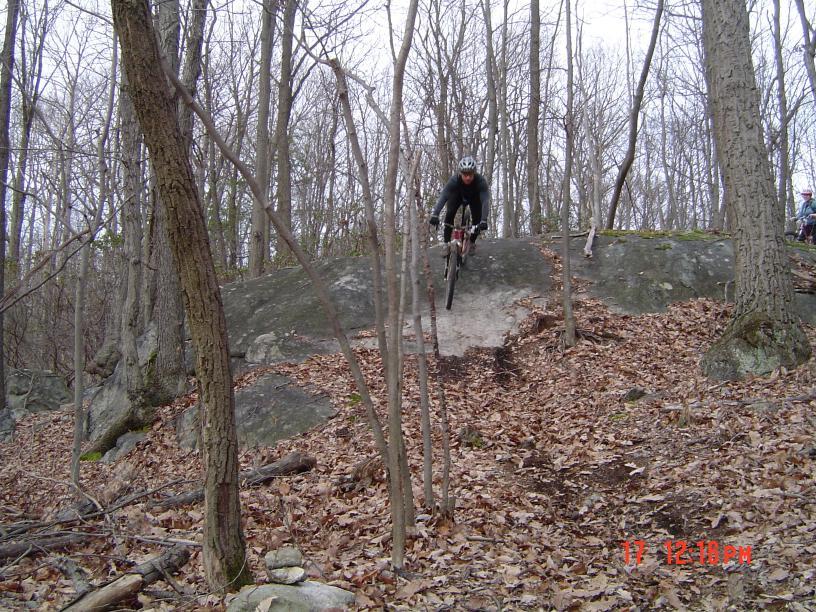 Mountain biker descends a rocky slope in a leafless forest on an overcast day.