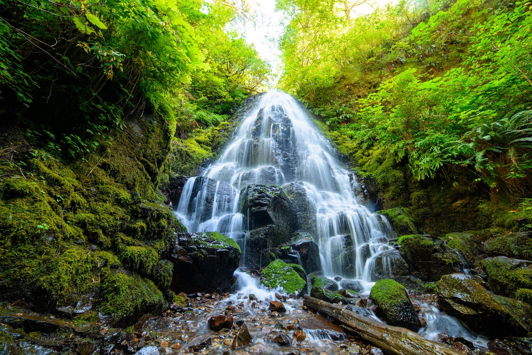 A multi-tiered waterfall flows over dark rocks in a lush green forest.