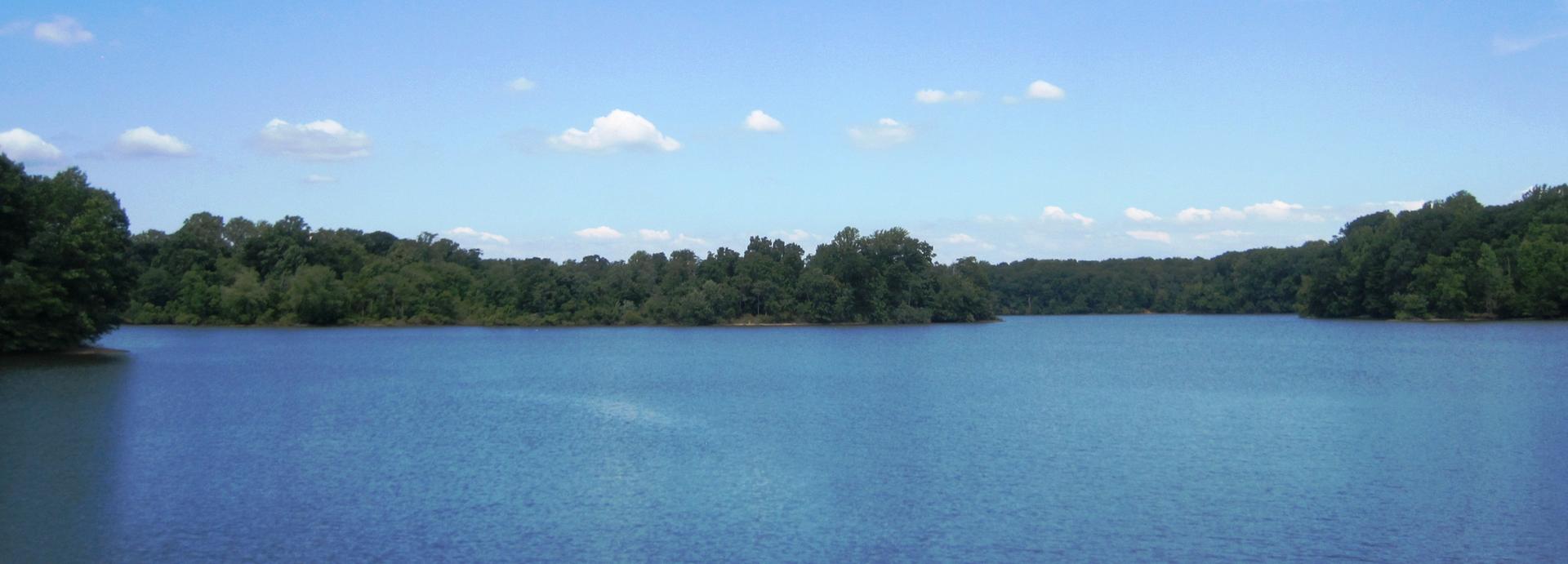 Expansive blue water with a forested shoreline under a clear, bright sky.