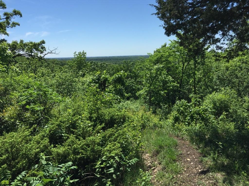 Dirt path overlooking a vast, sunlit green forest under a clear sky.