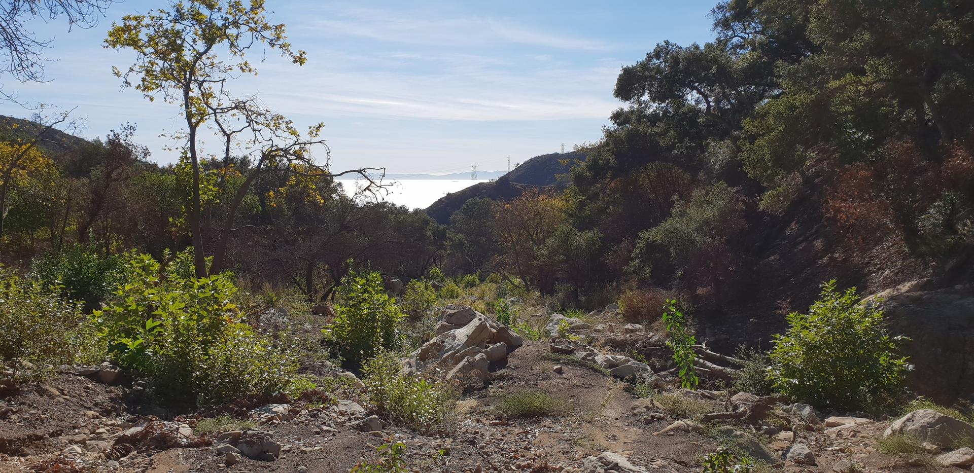 A lush green valley leads to a distant ocean under a bright sky.