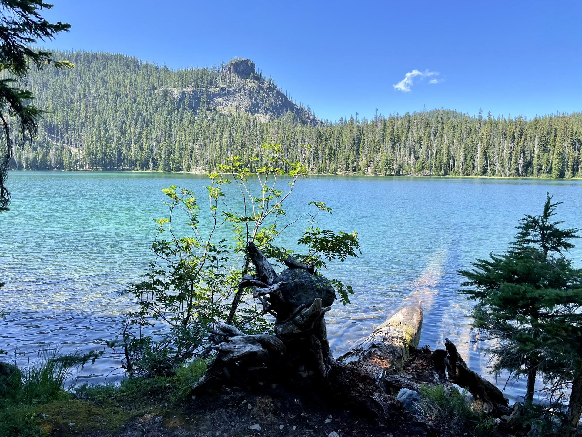 Serene blue lake surrounded by green forests under a bright sky.