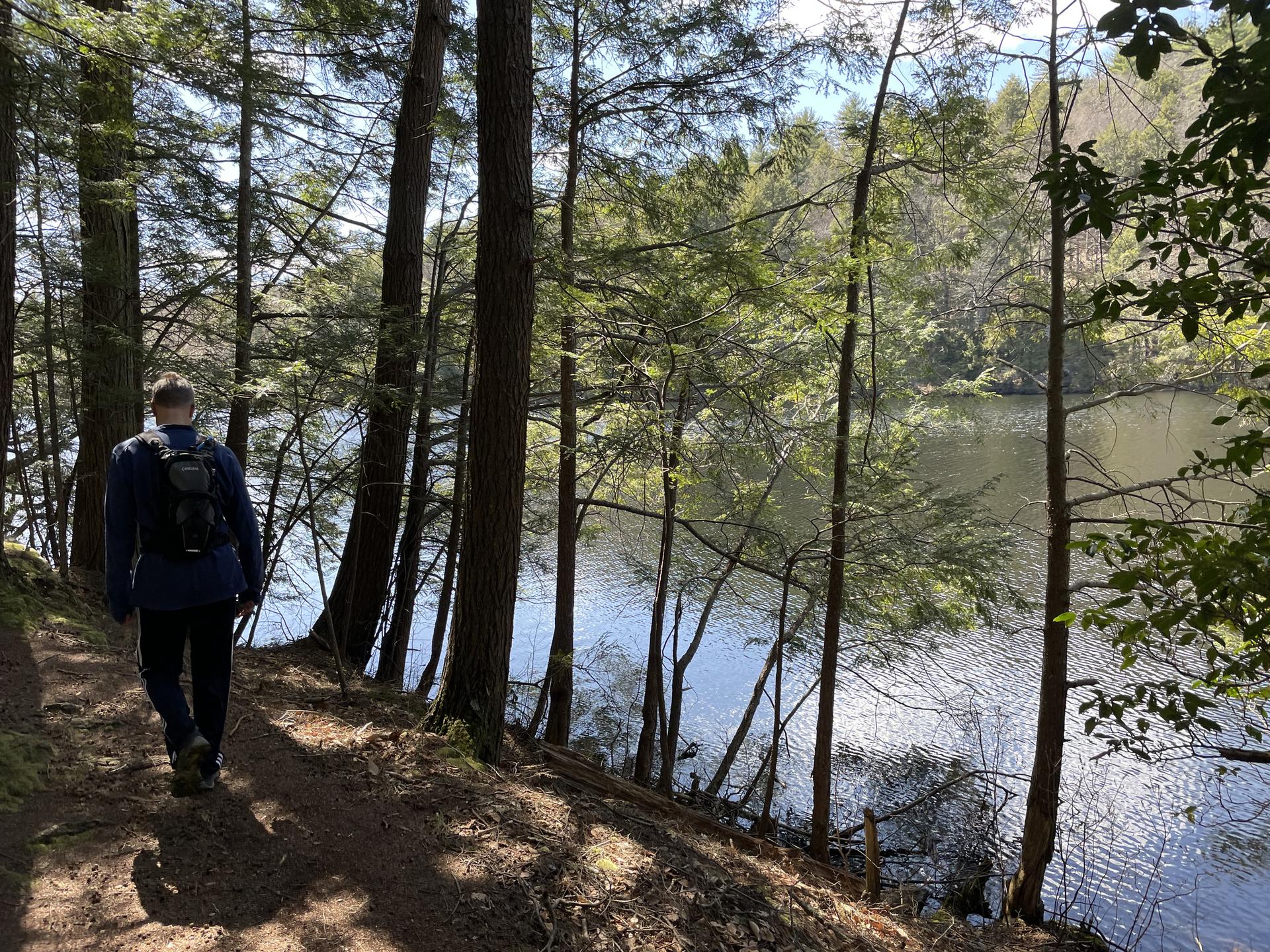 Hiker with backpack walks a sunny forest trail beside a shimmering lake.