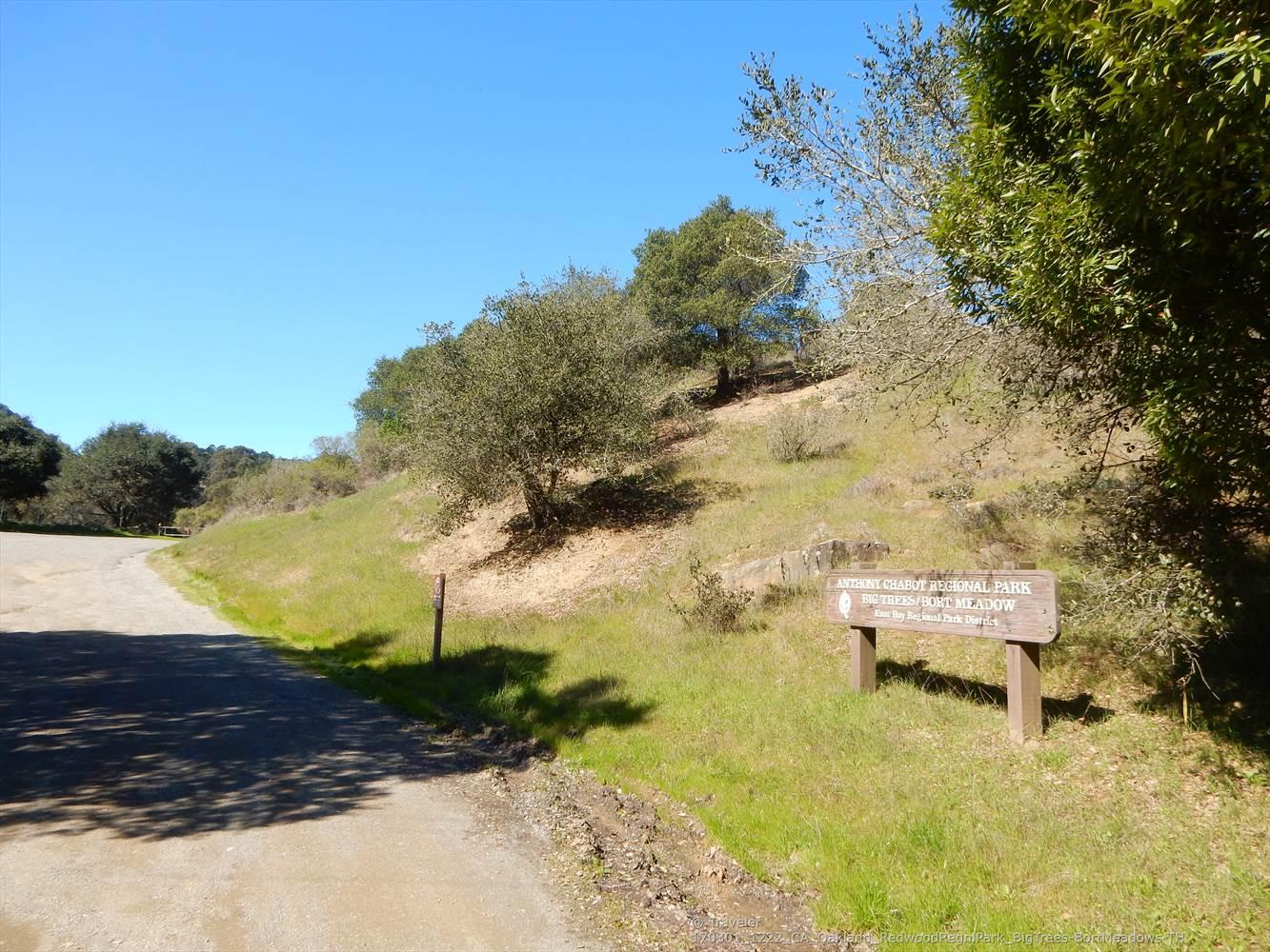 A dirt path next to a grassy hill with scattered trees and a wooden sign.