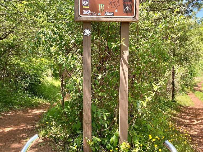 Fun & Twisty Loop Six Mile Run Reservoir Site mountain bike ride