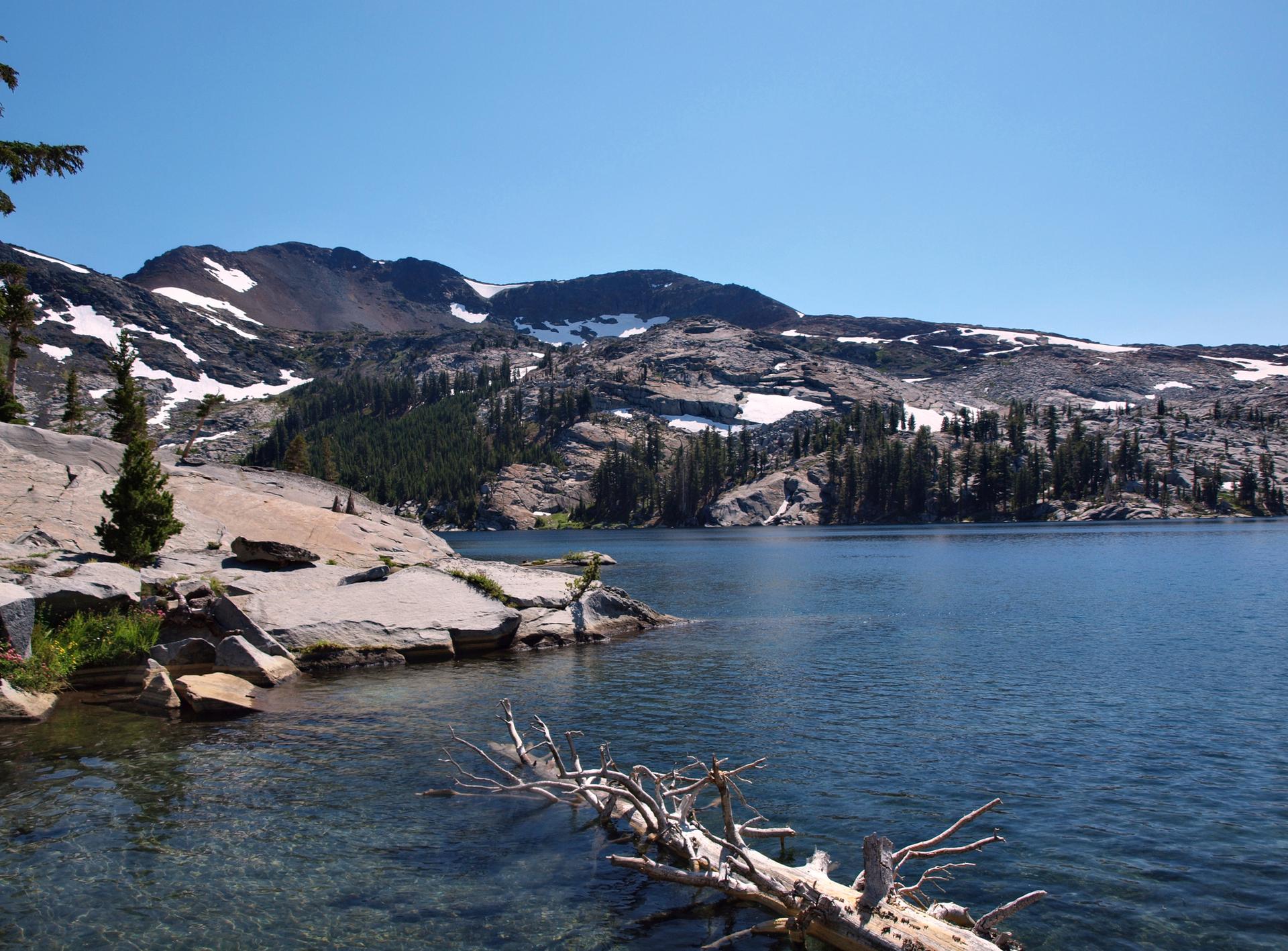Clear lake with a fallen log, rocky shore, and snow-dusted mountains.