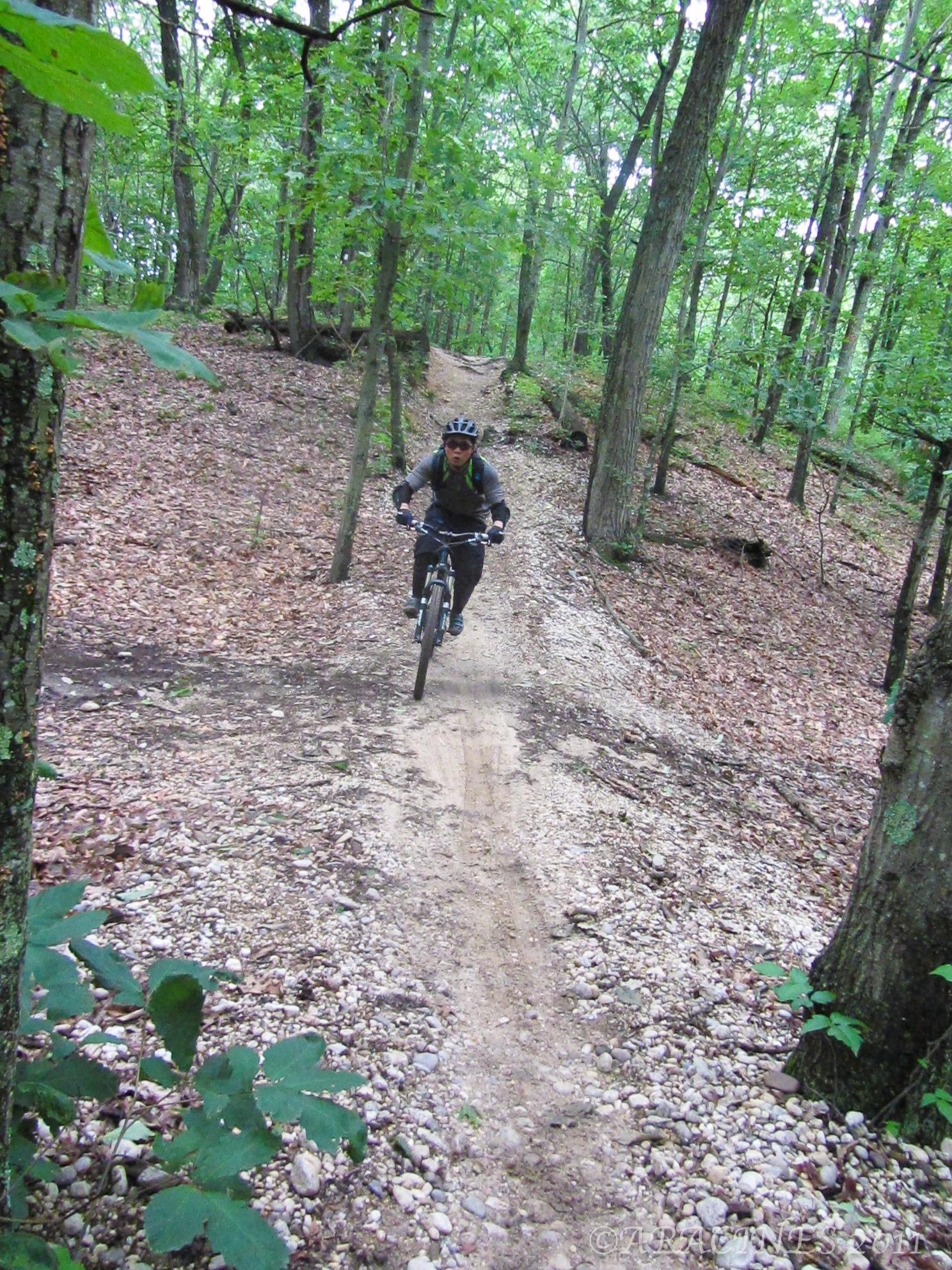 A person mountain biking uphill on a rocky dirt trail in a green forest.