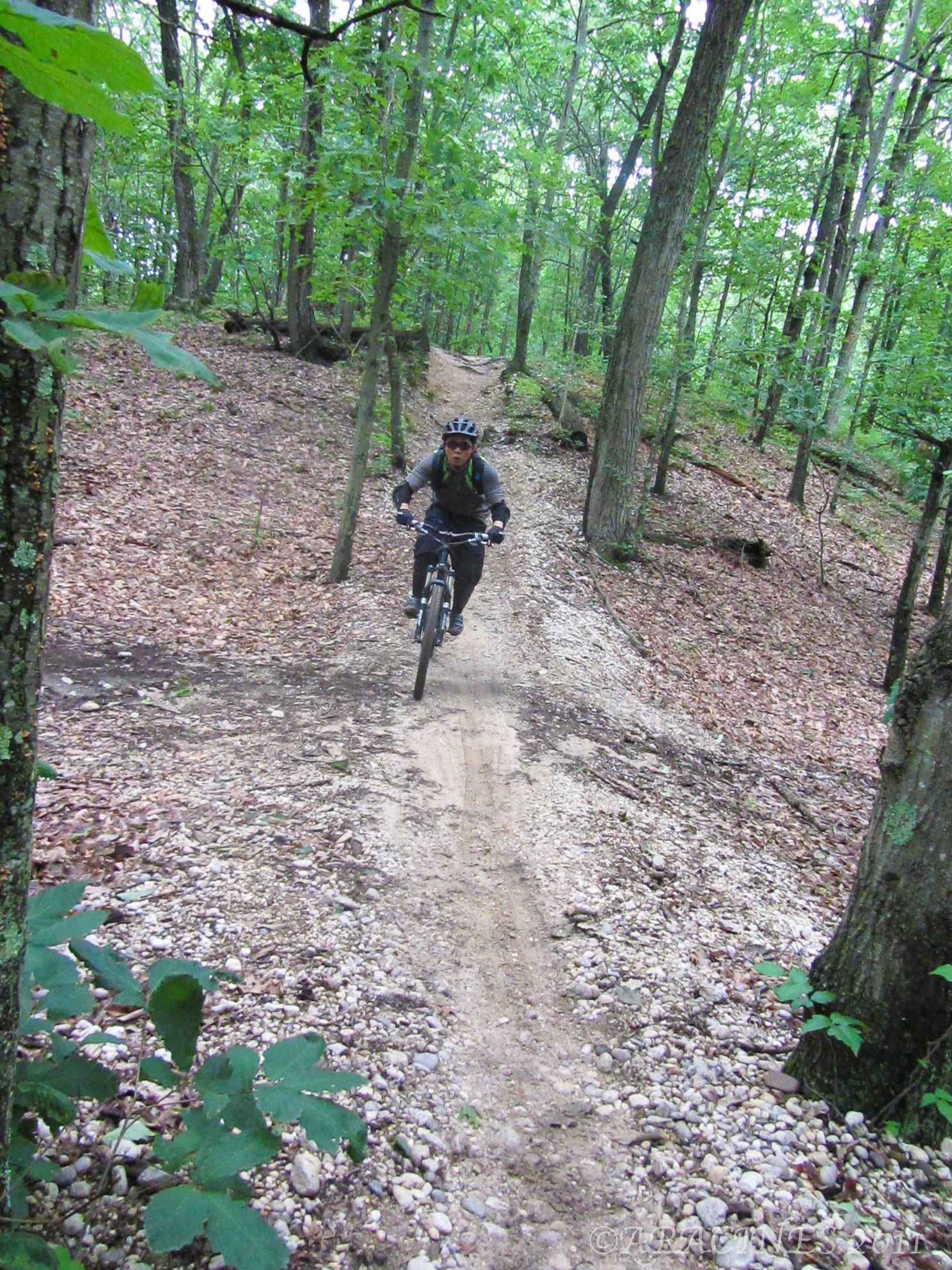 A person mountain biking uphill on a rocky dirt trail in a green forest. - Stillwell Entrance Sign – Blue Trail loop from Plainview