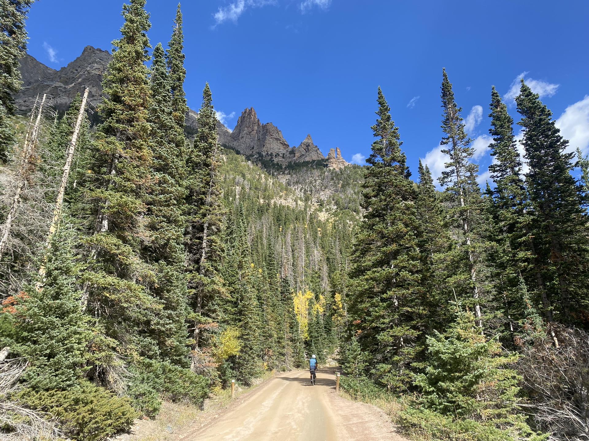A person walks on a dirt road through a pine forest towards rocky mountains.