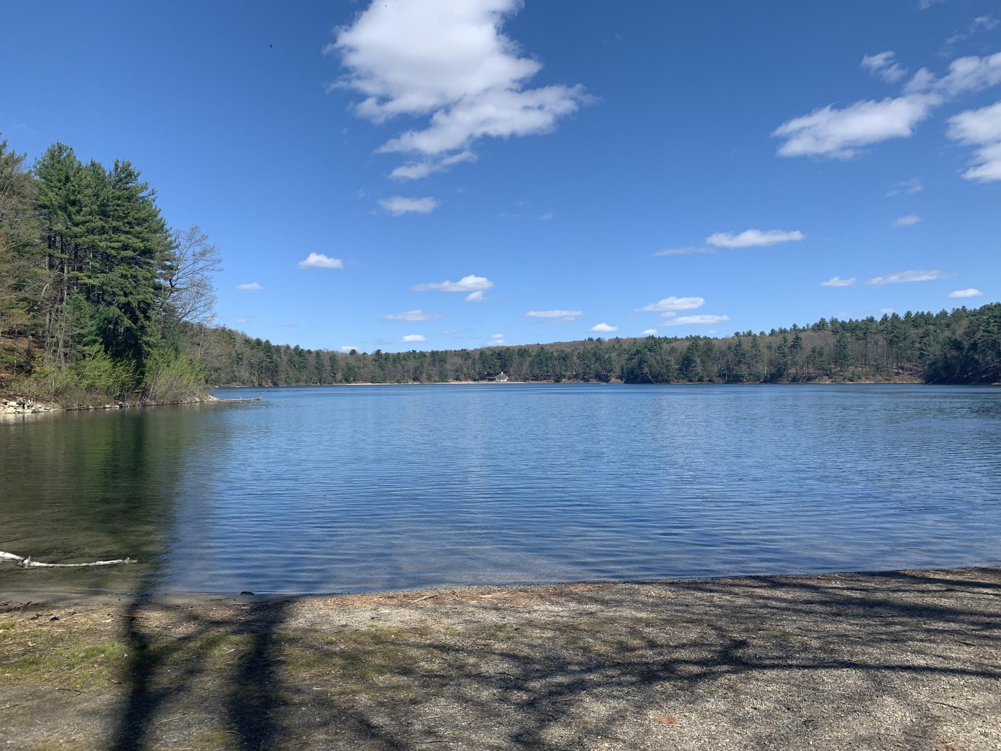 Calm lake with forested shores under a bright blue sky and white clouds.