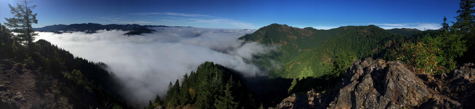 Panoramic view of forested mountains above a sea of clouds under a clear sky.