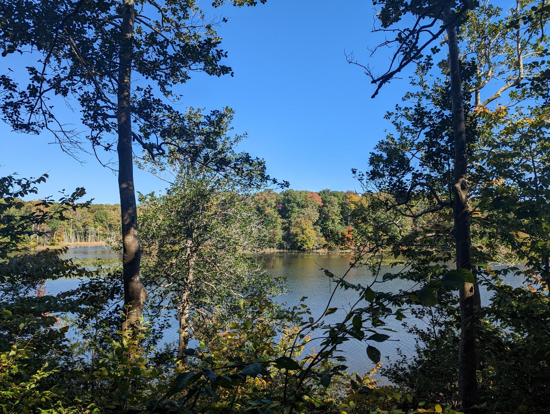 A calm lake framed by green and autumn-colored trees under a blue sky.