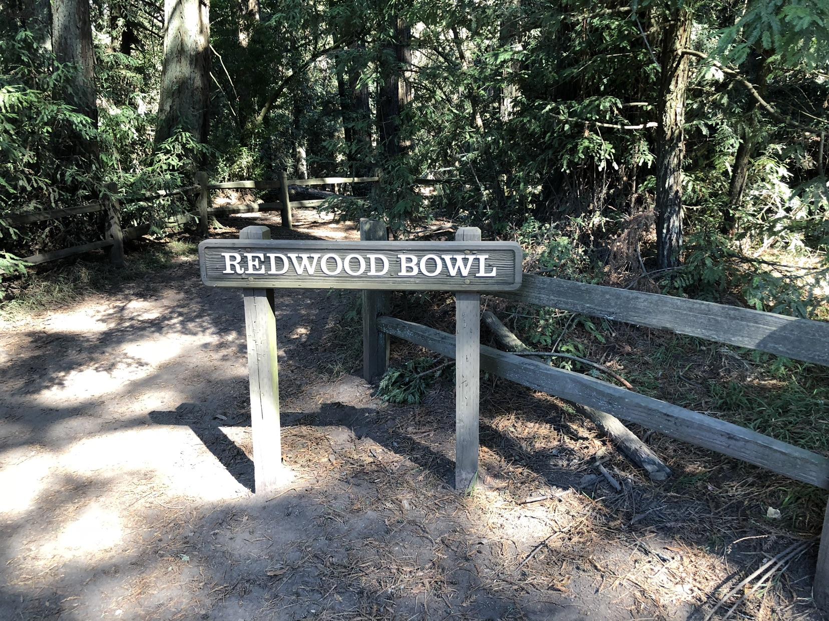 A wooden sign on a dirt path next to a wooden fence in a forest.