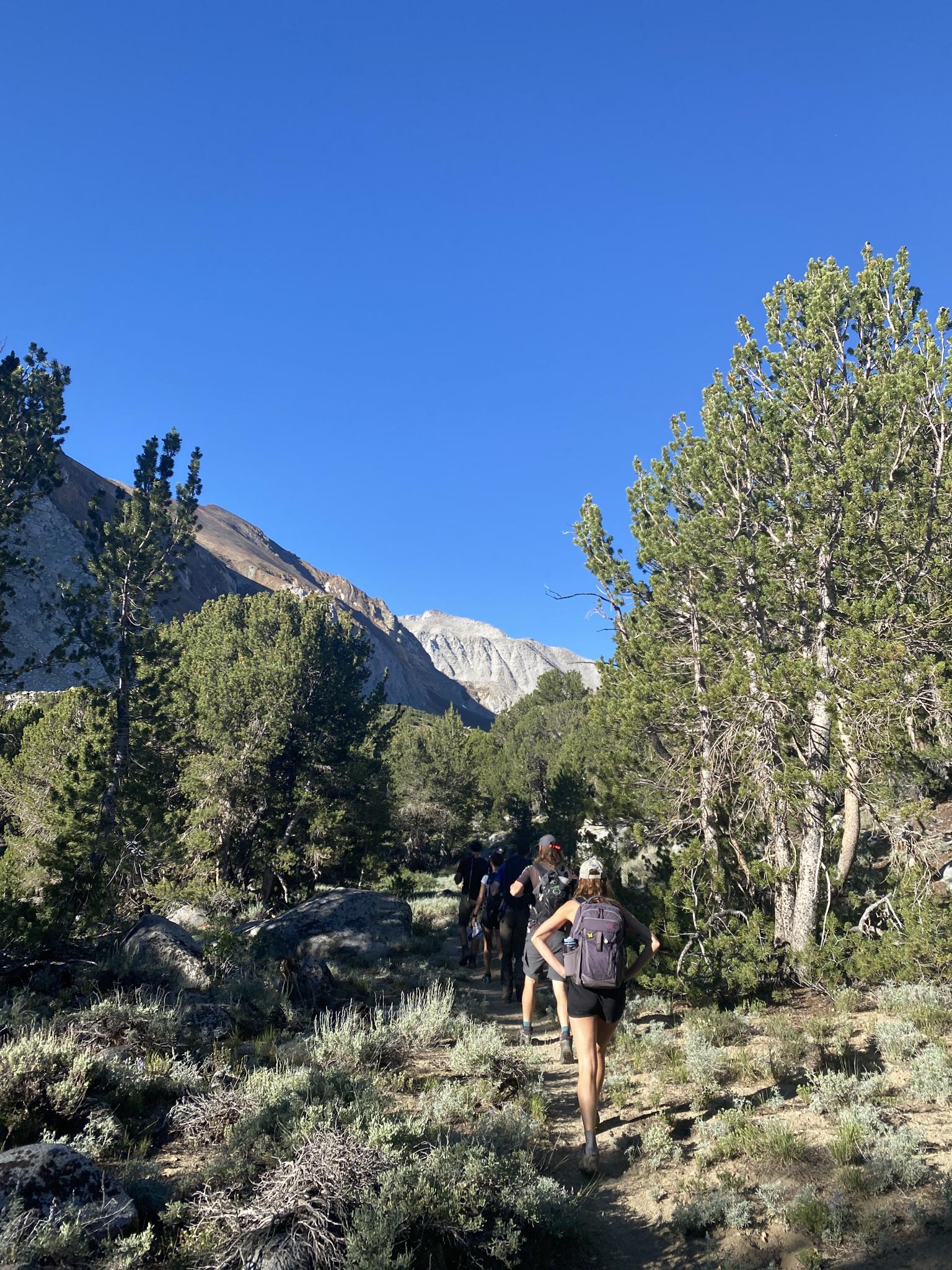 A group of hikers walks along a trail through a sunny mountain landscape.