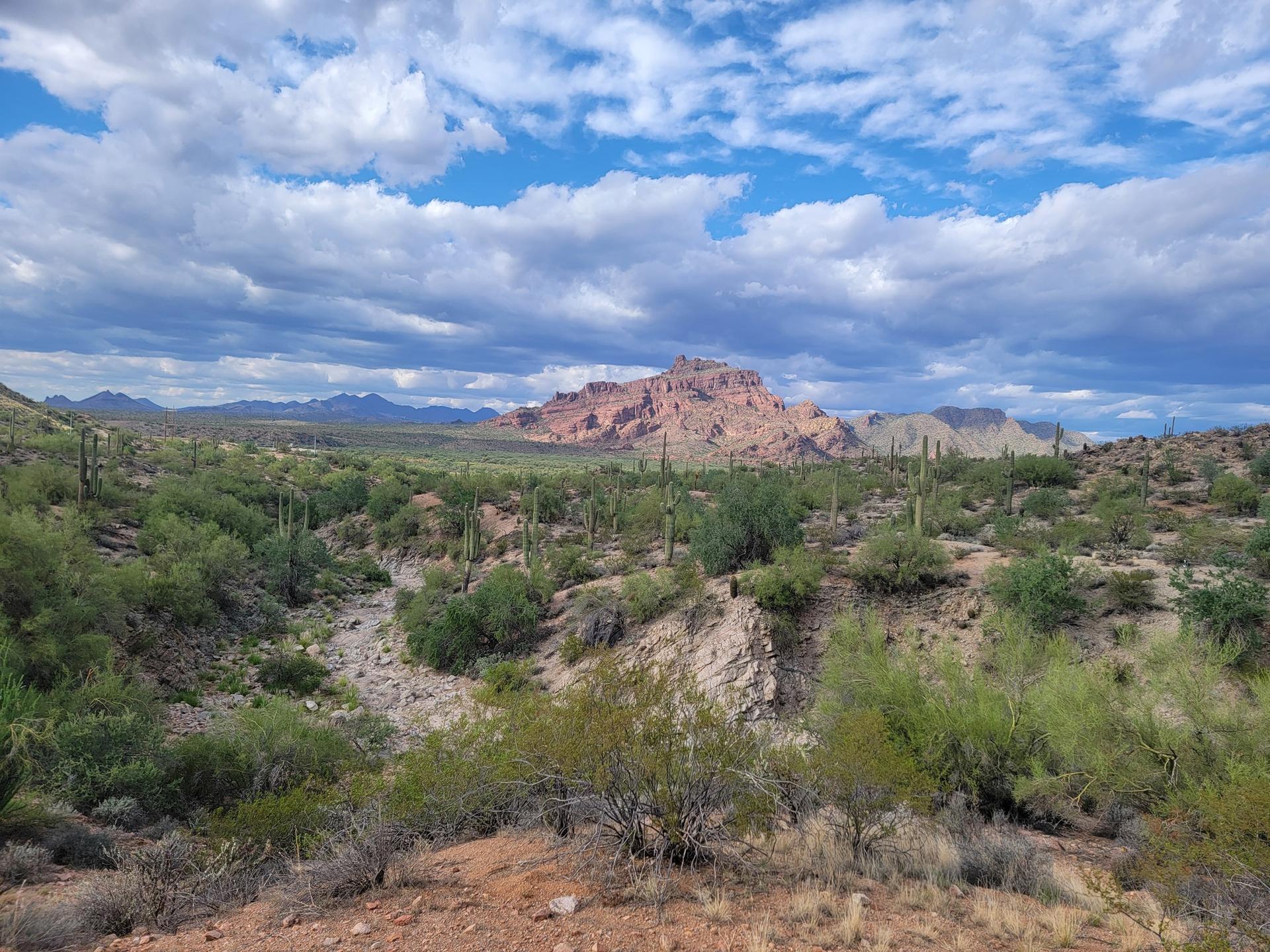 Desert landscape with green scrub, cacti, and a prominent red rock mountain.