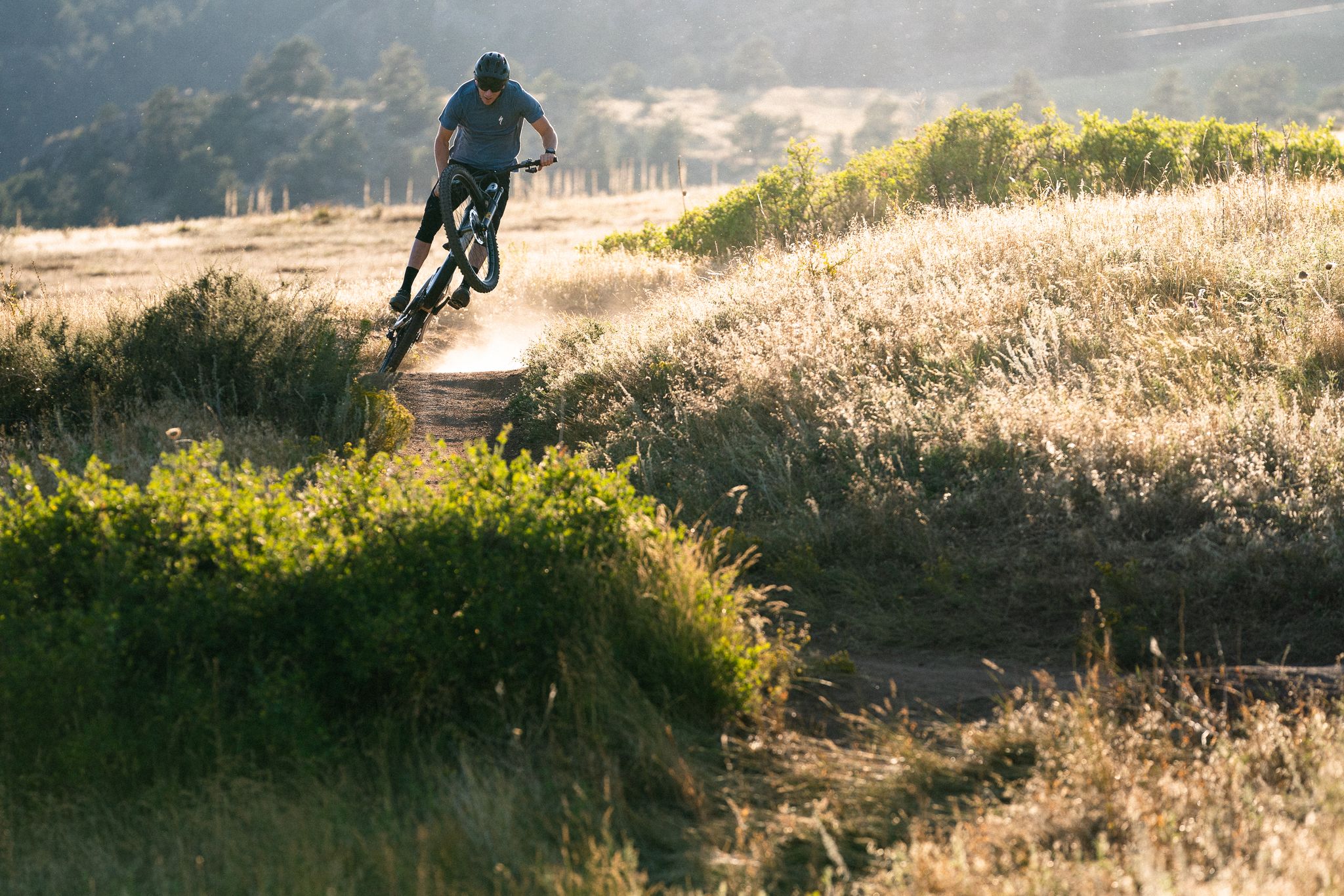 Mountain biker on a dusty trail, kicking up dirt in golden light. - Hall Ranch Loop