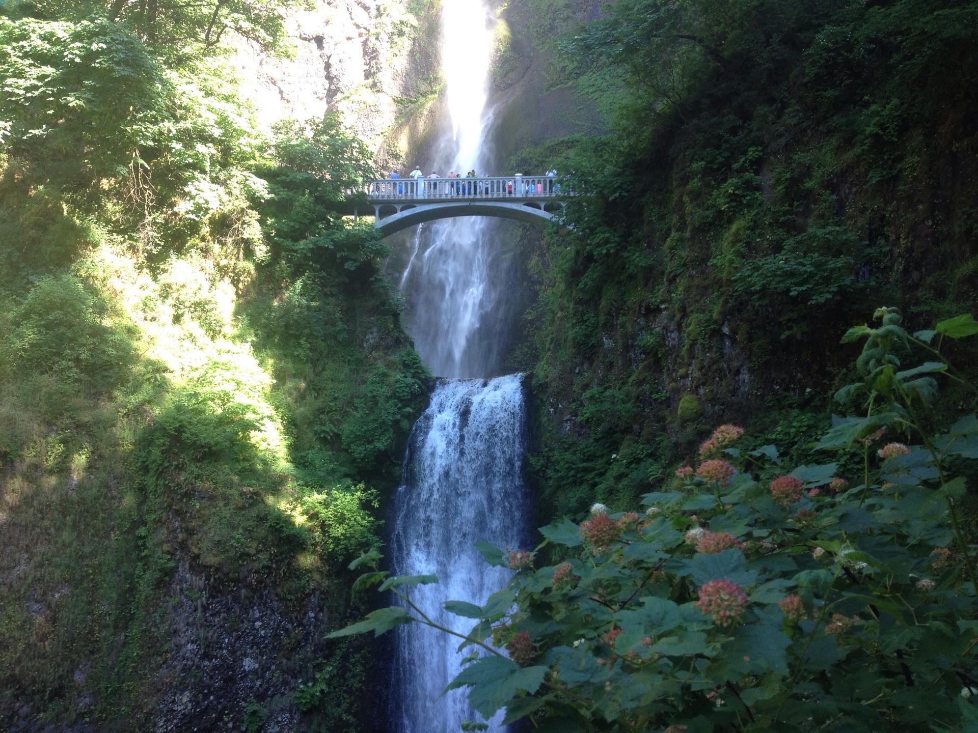 Waterfall flowing under an arched bridge with people, surrounded by green foliage.