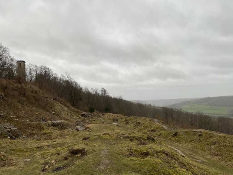 Sally in the woods Bathford, South West England LaufHighlight Komoot