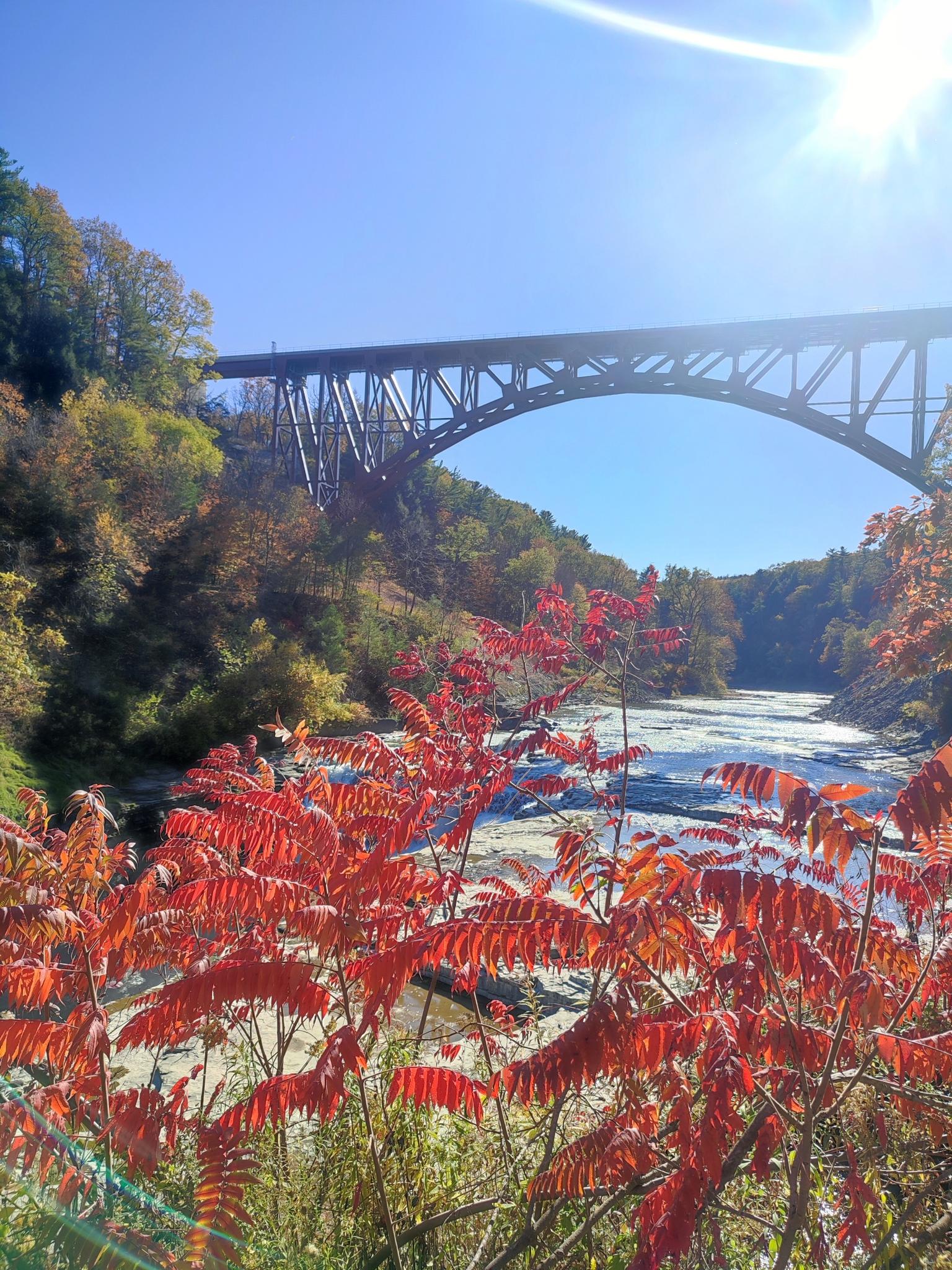 Bright sun over a large bridge spanning a river, with vibrant red foliage.