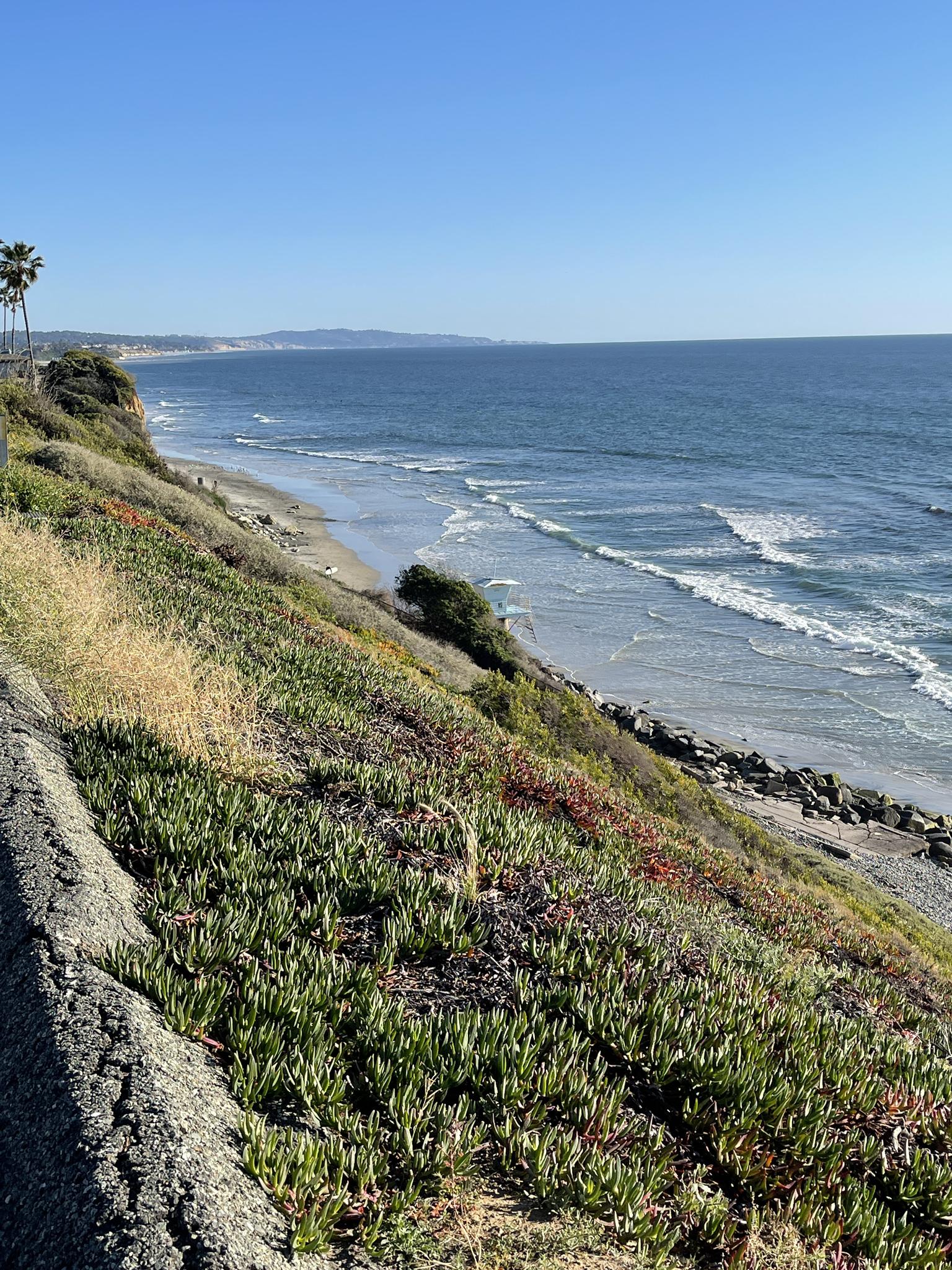Ocean waves crash on a beach below a green, vegetated cliff on a sunny day.