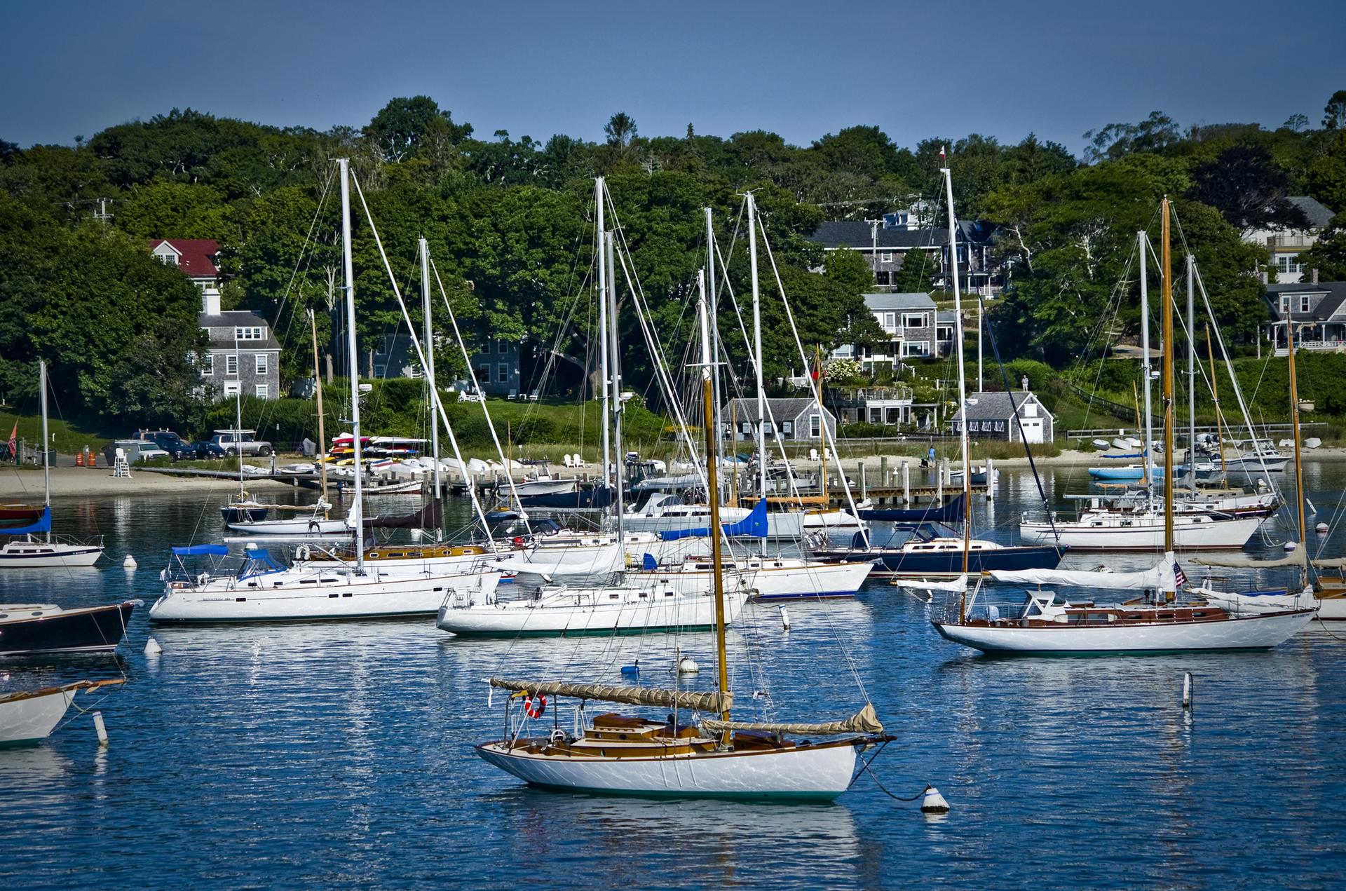 Numerous sailboats moored in a calm harbor with houses on a hillside.