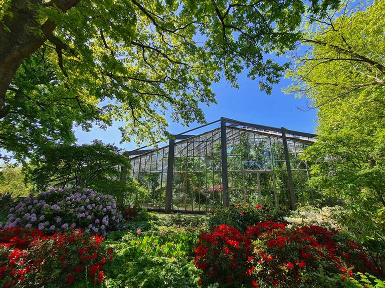 Planten un Blomen  Rosengarten, Planten un Blomen Runde von  Stadthausbrcke | Wanderung | Komoot