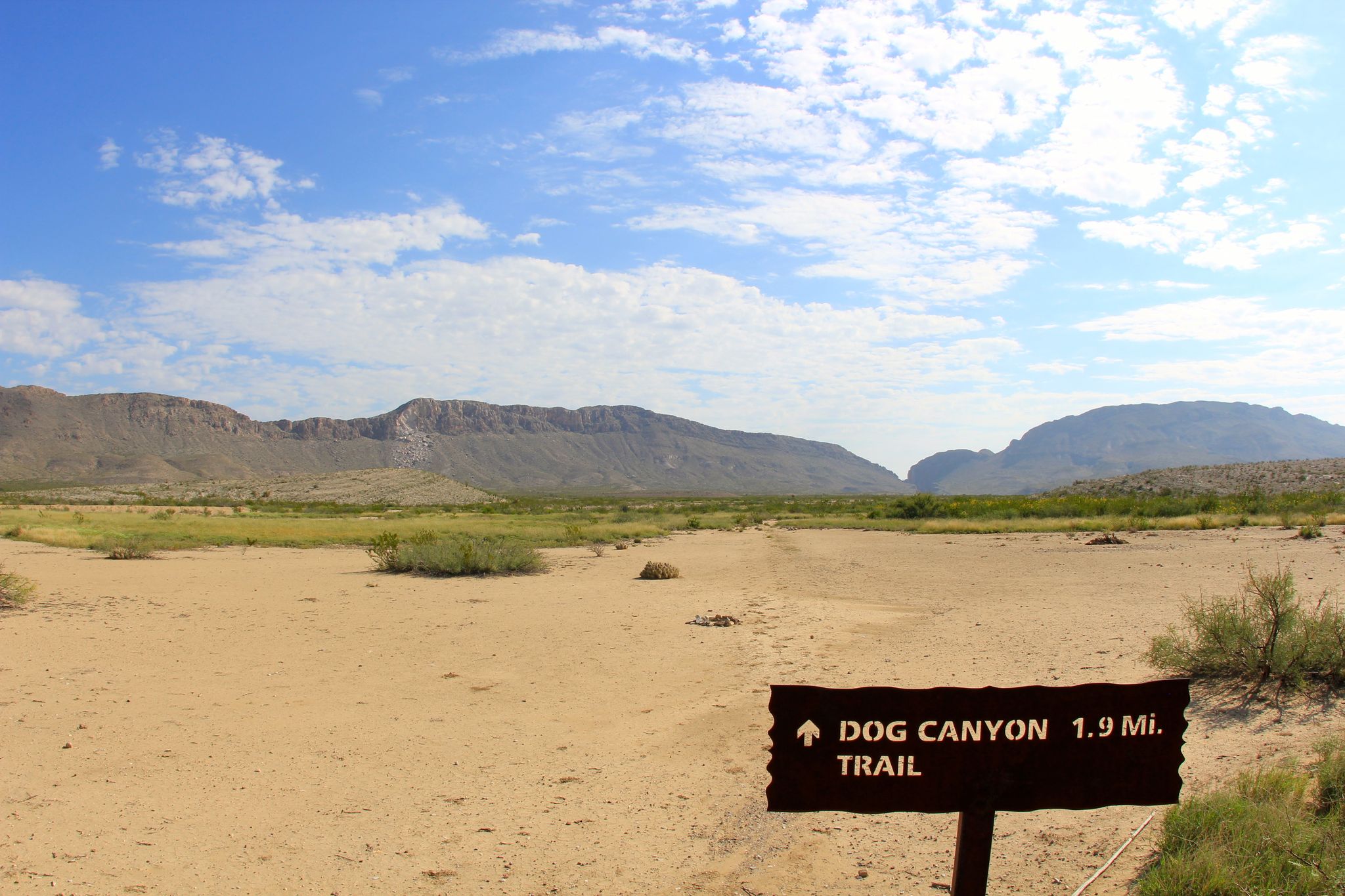 Expansive desert landscape under a bright blue sky with distant mountains. - Devil's Den Trail