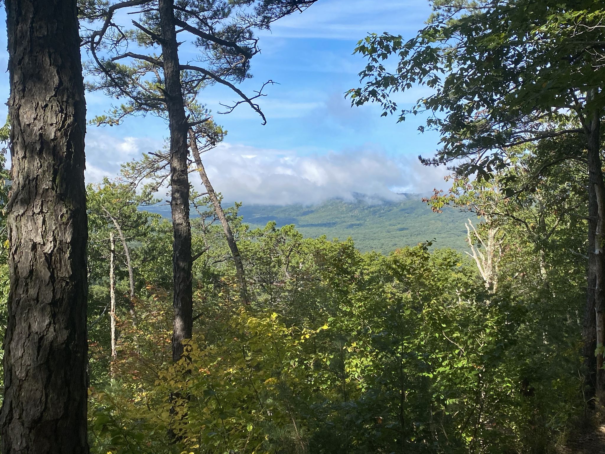 Forest view with tall trees framing a distant mountain range under a blue sky. - Gateway Trail to Jacob's Ladder to Snakeroot Loop Trail