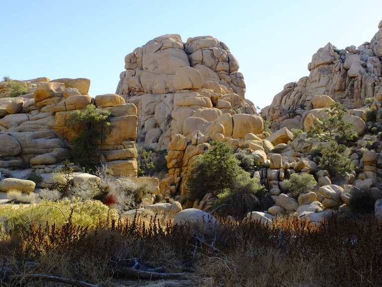 Sentiero Willow Hole - Parco Nazionale Joshua Tree | escursione | komoot