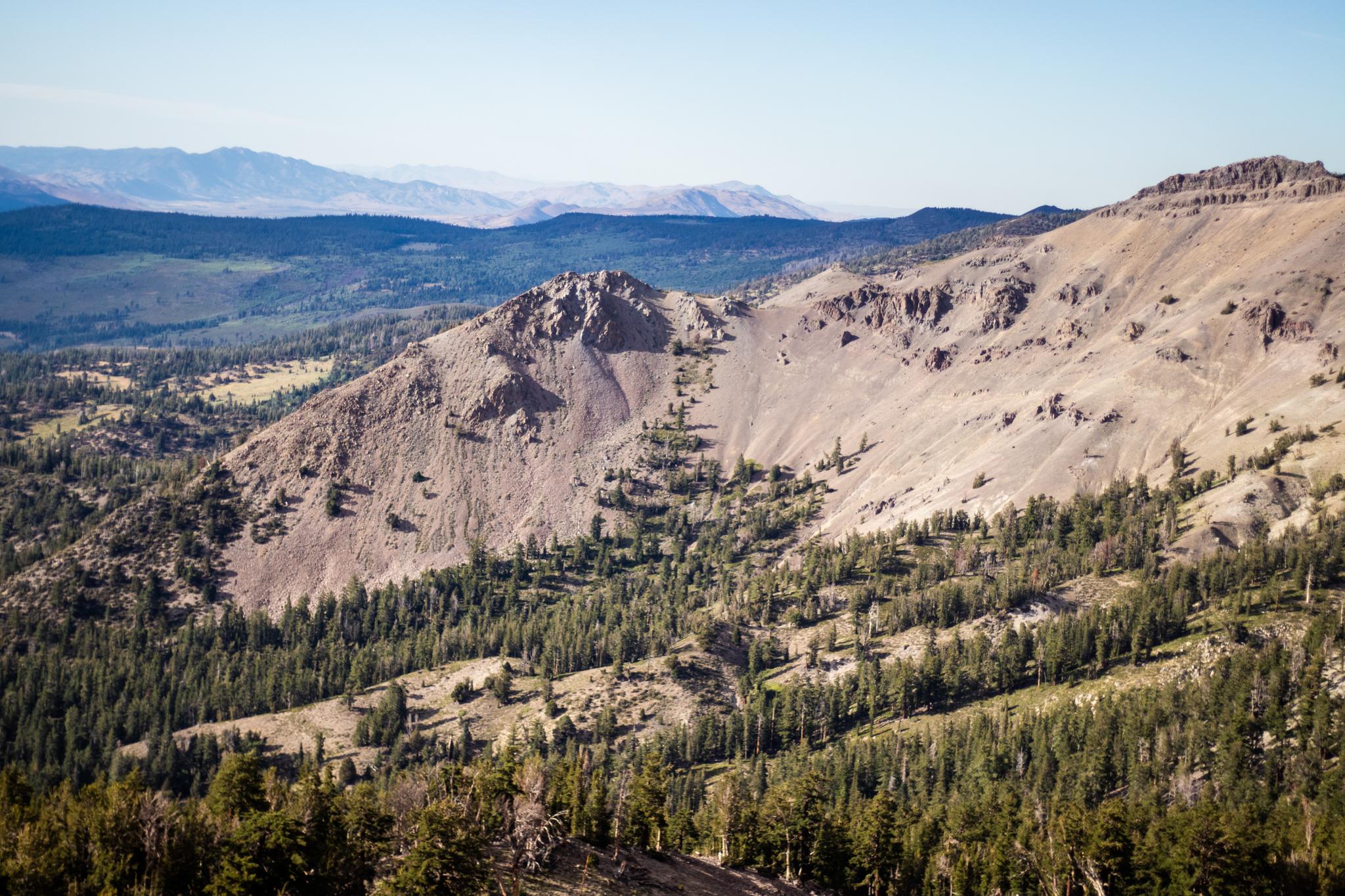Rocky mountain slopes covered with pine trees under a clear sky.