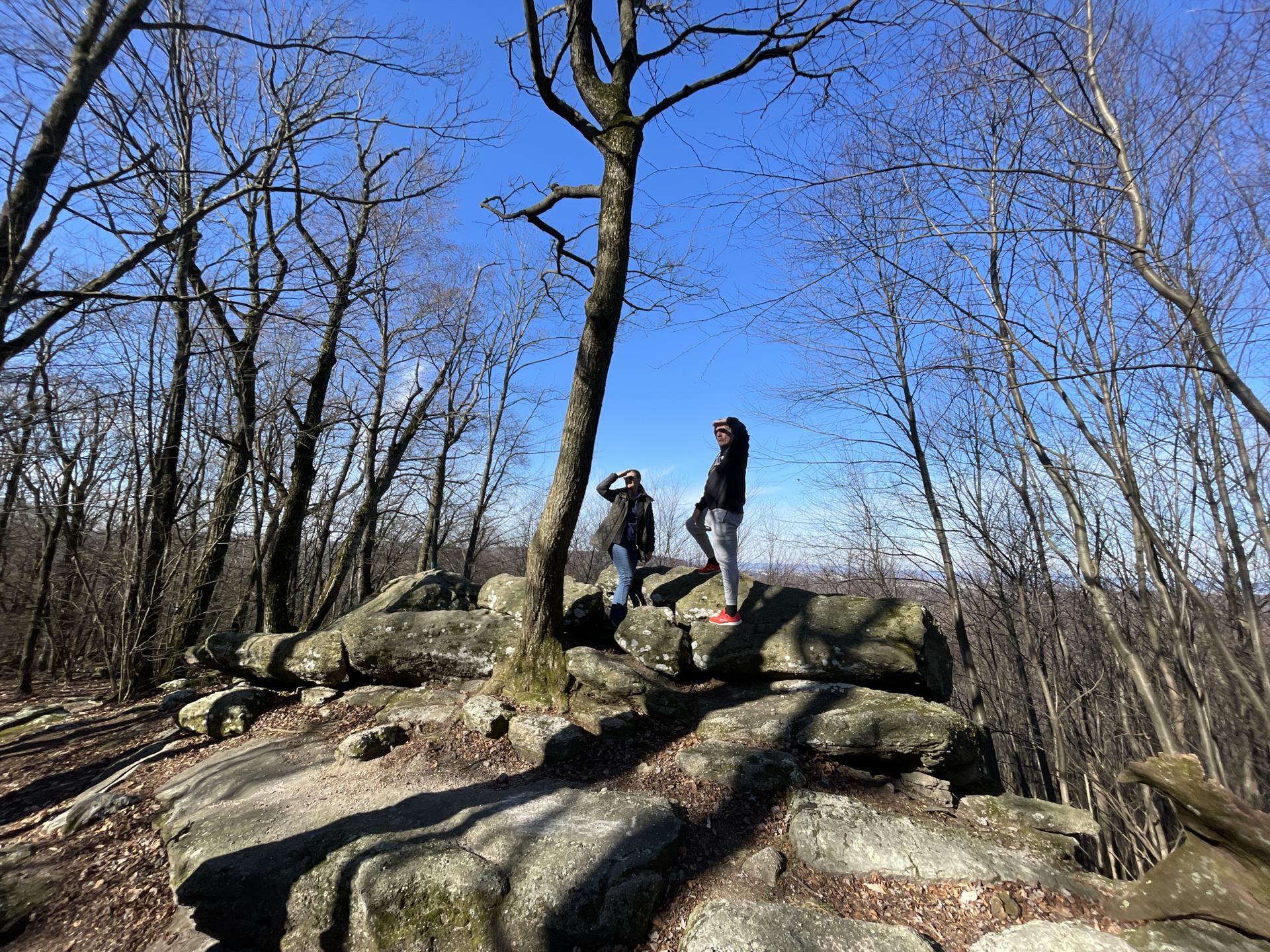Two people stand on sunlit rocks in a bare forest, looking out.